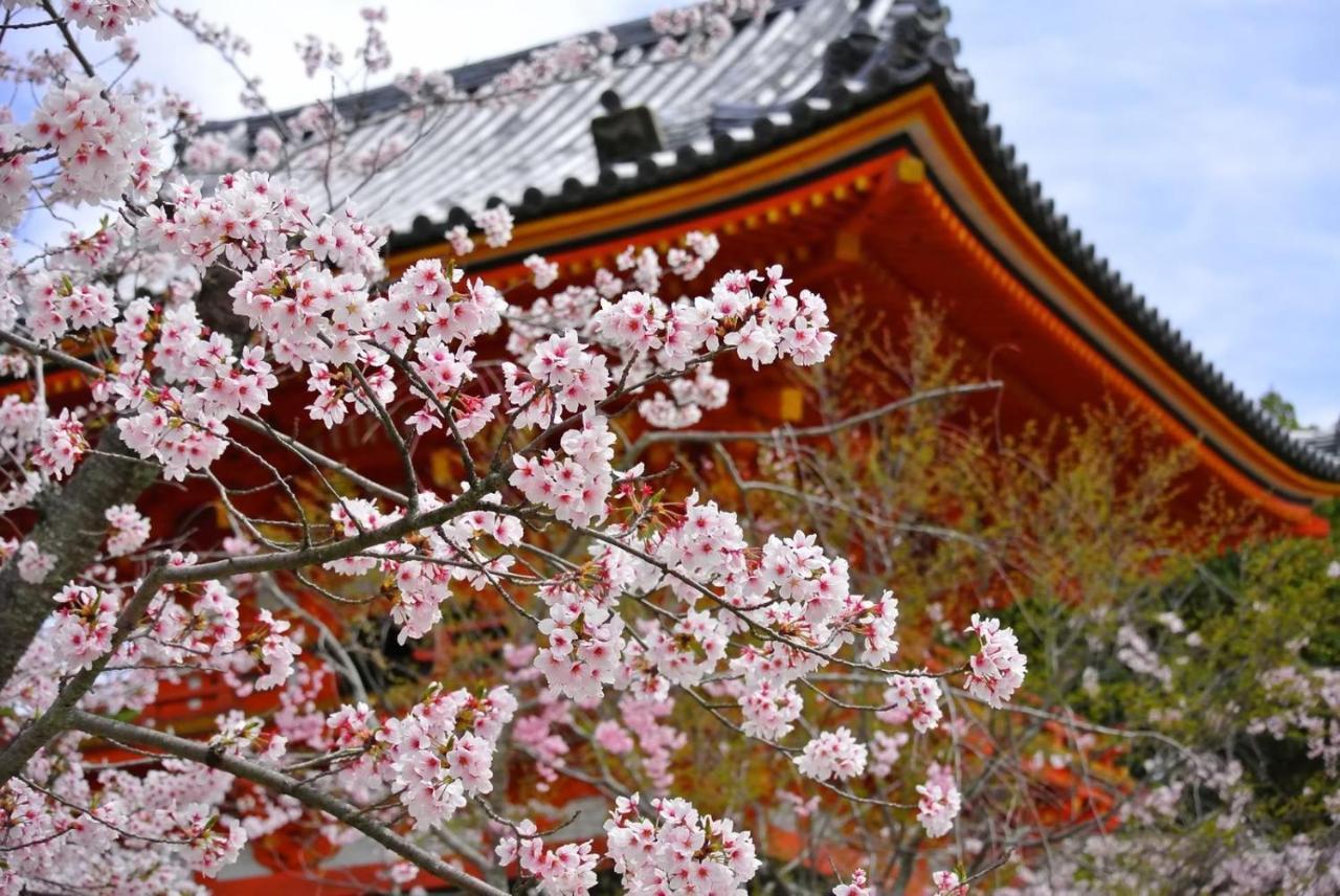 Stay Sakura Kyoto Tambaguchi Buitenkant foto